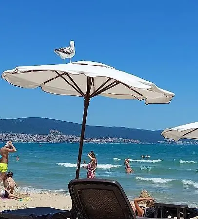 Abelia Regina Apartment Sunny Beach