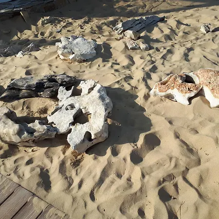 Abelia Regina Apartment