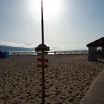 Abelia Regina * Sunny Beach