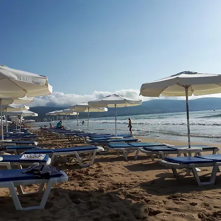 Abelia Regina サニービーチ