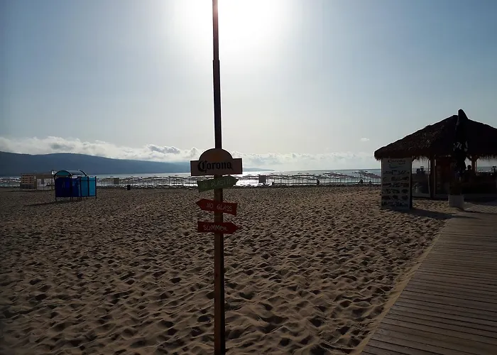 Abelia Regina * Sunny Beach