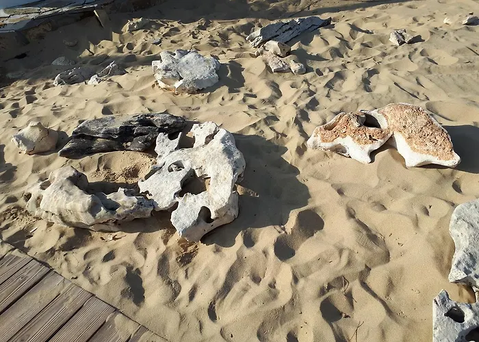 Abelia Regina Appartamento