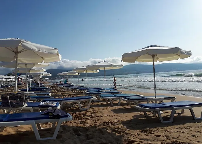 Abelia Regina Slantchev Briag